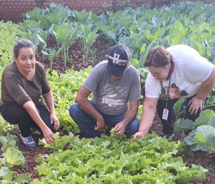 Uberaba tem investido fortemente na aquisição de produtos da agricultura familiar para a merenda escolar (Foto/Divulgação/Emater-MG)