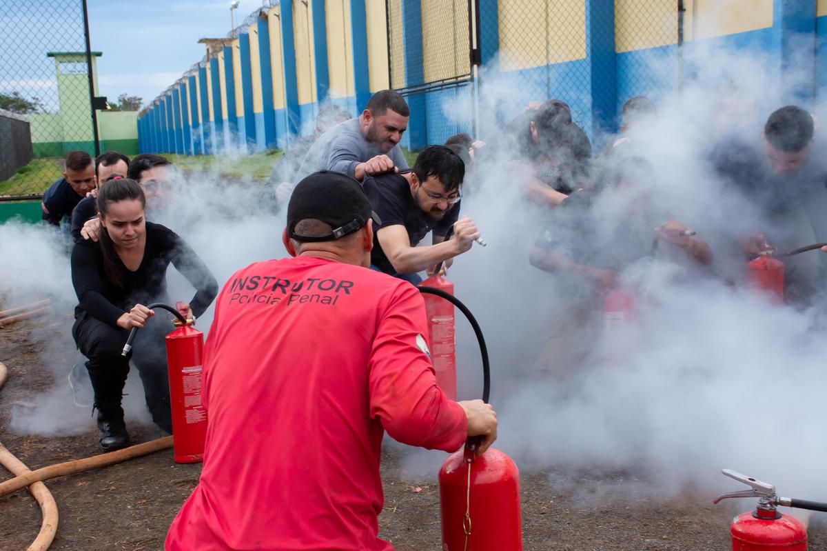  (Foto/Divulgação)