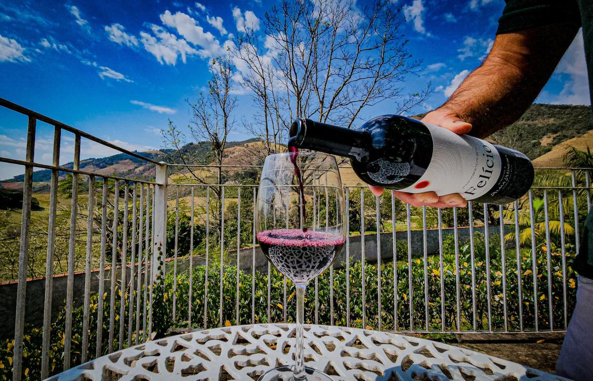 O setor vitivinícola de Minas Gerais vive um ciclo virtuoso. Entre 2013 e 2022, a área cultivada com uvas aumentou em 52,9% (Foto/Divulgação)