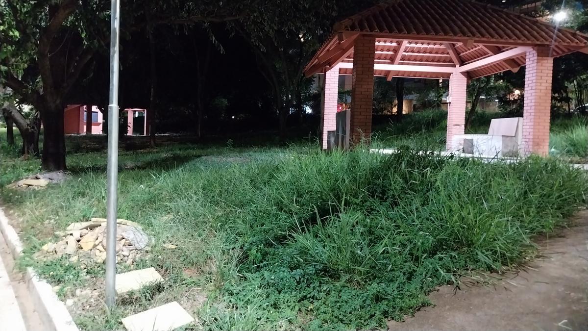 Imagens feitas por frequentadores mostram mato alto em diversos trechos do local (Foto/Divulgação)