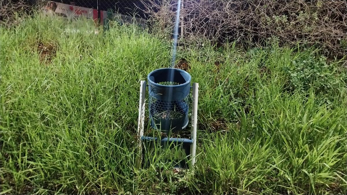 Questionada, a Codau informou que equipes de limpeza urbana já estão realizando os serviços de roçada e capina no local (Foto/Divulgação)