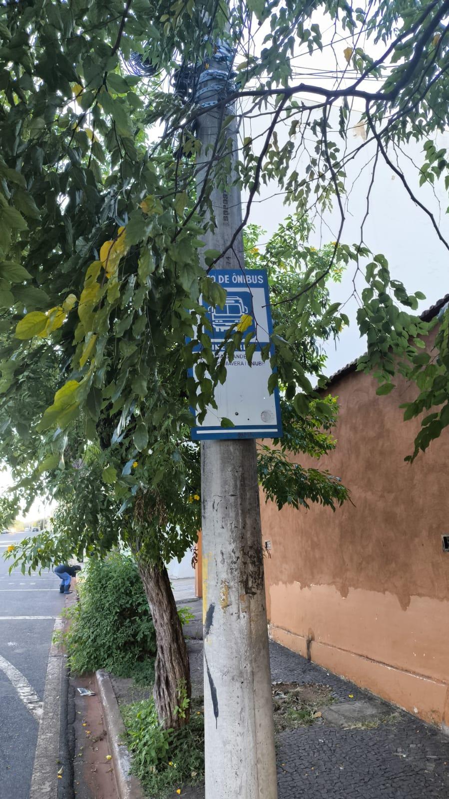 Segundo reclamação, os galhos encobriam a sinalização do ponto, comprometendo a visibilidade tanto dos passageiros quanto dos motoristas (Foto/Marcos Machado)