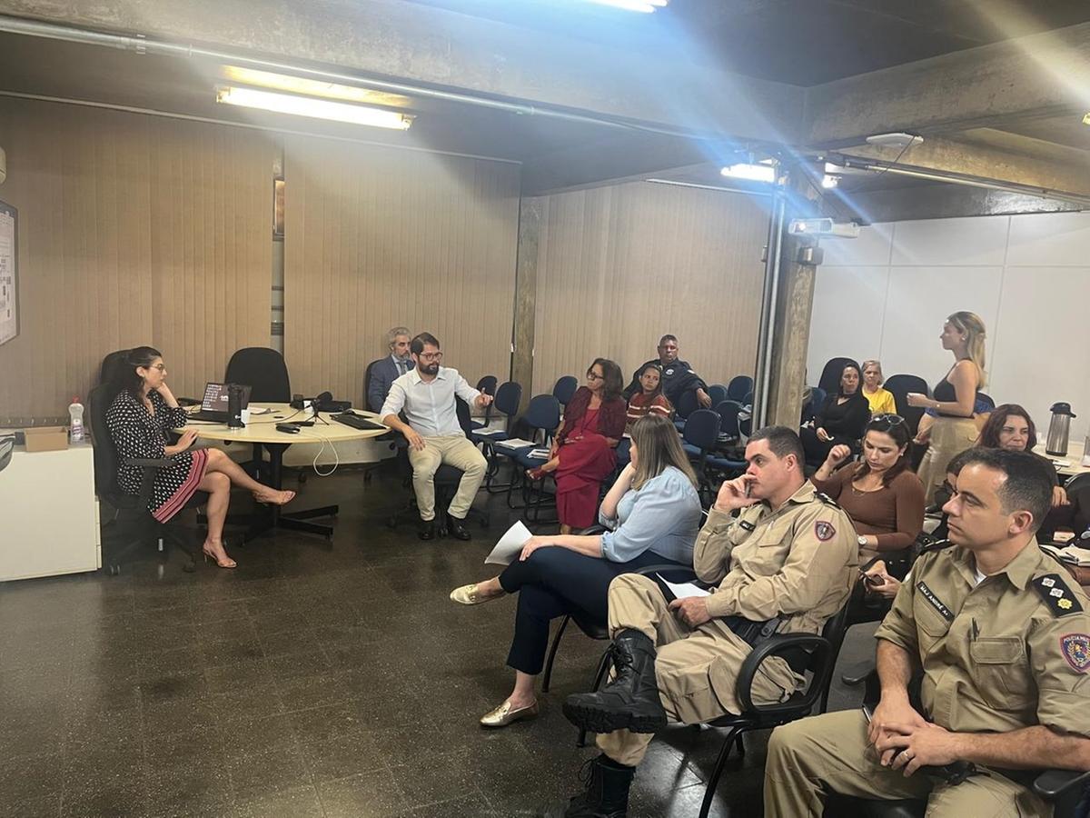 Representantes de instituições focaram na elaboração de fluxograma detalhado a ser adotado pelos estabelecimentos de ensino das redes estadual e municipal  (Foto/Divulgação)