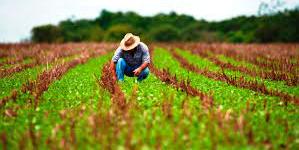 Governo federal amplia desconto de energia elétrica para produtor rural