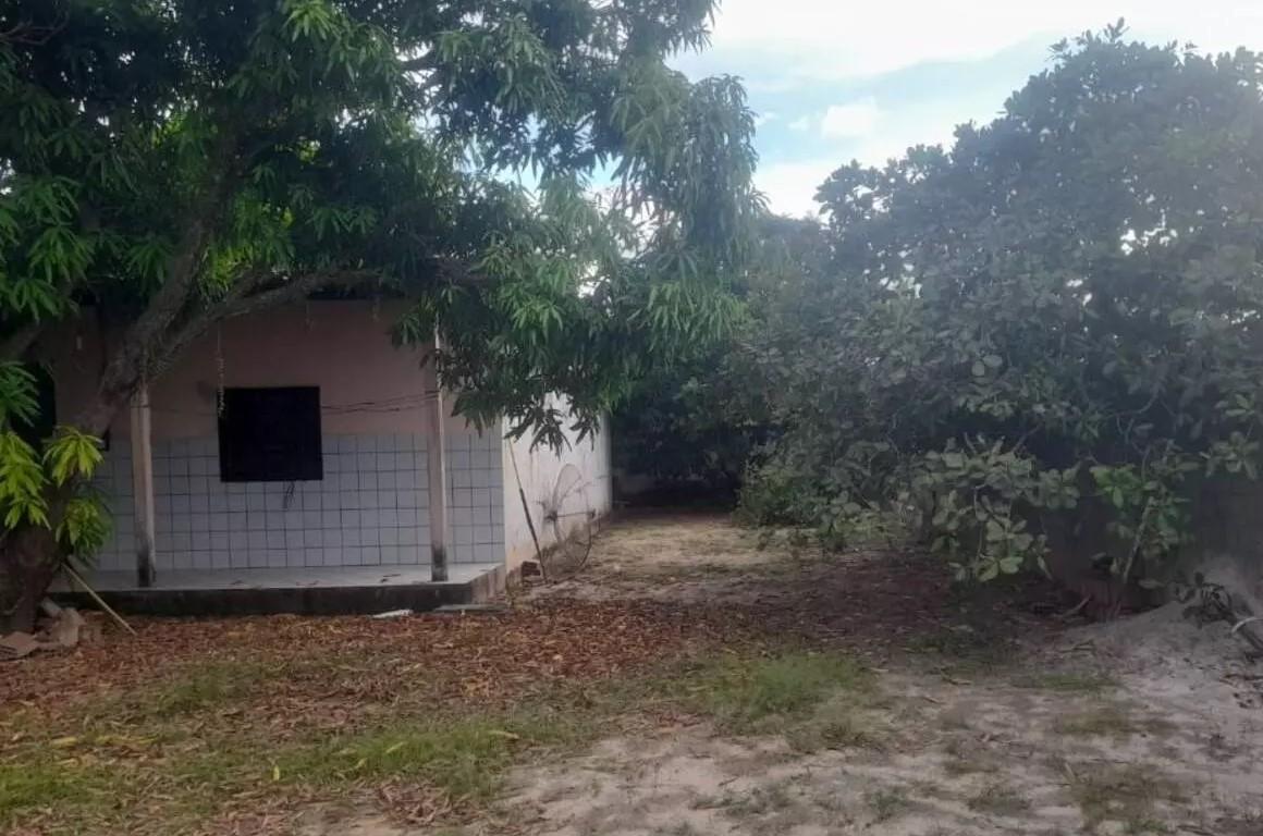 Imóveis com árvores em seu interior e aqueles em que os proprietários adotam práticas ambientais sustentáveis poderão beneficiar-se do desconto na modificação da lei  (Foto/Reprodução)