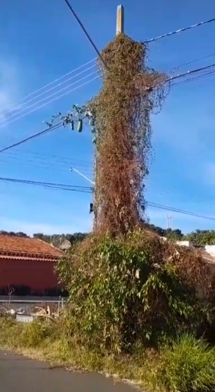 “Uma nova atração turística” identificada pelo ativista Rodney Lemes (Foto/RL)
