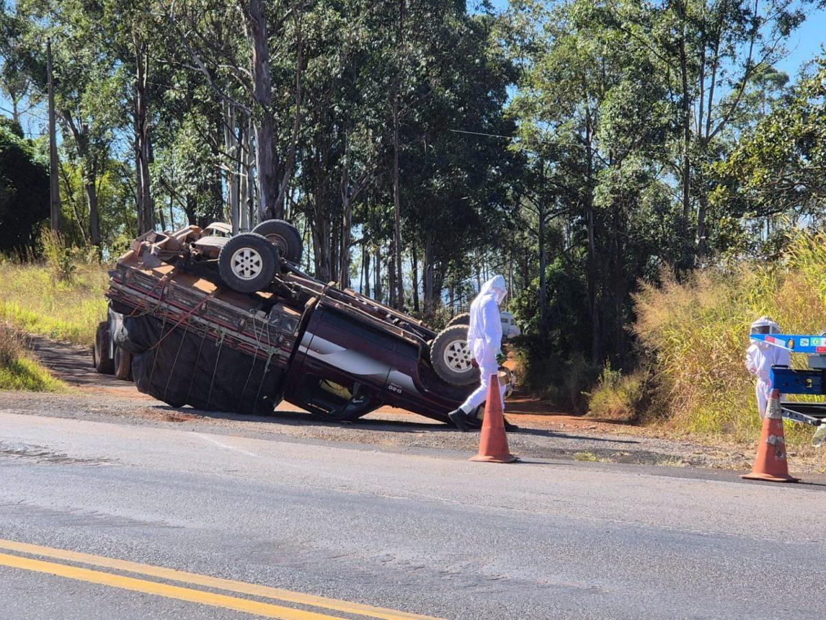 Ocupantes do veículo eram apicultores e atuaram o manejo das abelhas (Foto: CBMMG / Divulgação)