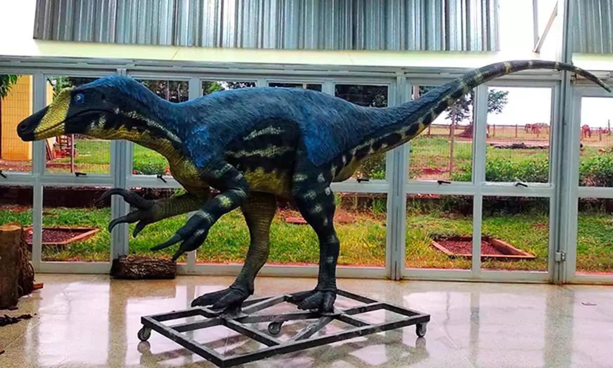 As intervenções priorizam as peças mais danificadas, como o filhote do Uberabatitan ribeiroi e os crocodiliformes, e devem durar cerca de quatro semanas. (Foto: Divulgação)