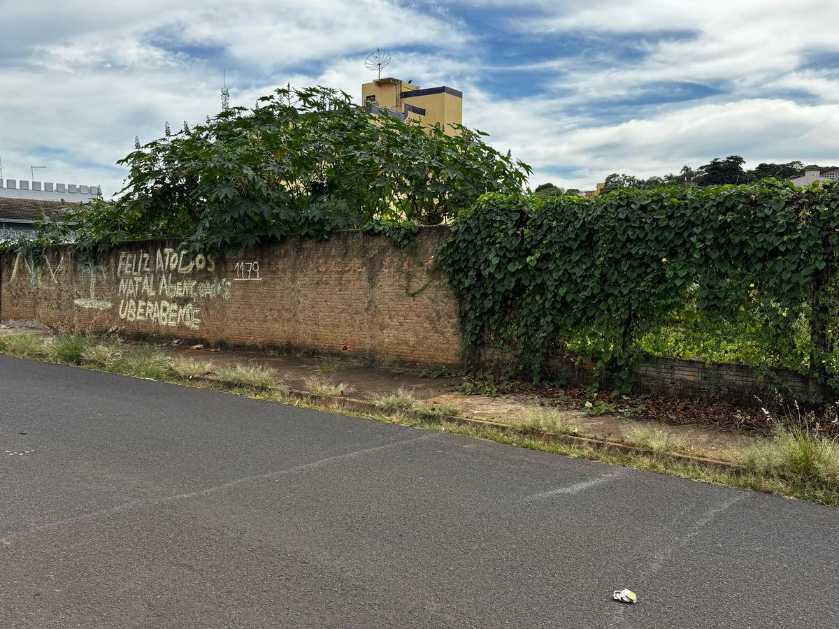 Moradores relatam mato alto, descarte irregular e sensação de insegurança (Foto/Divulgação)