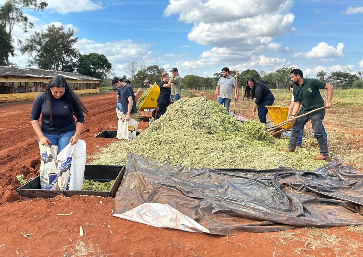 (Foto/Divulgação)