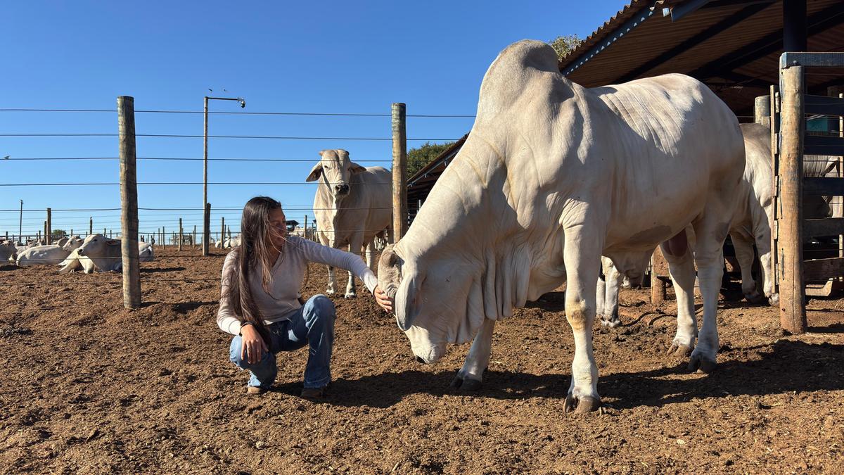 Com os conteúdos aprendidos em aula e no PNAT, Anna Renata perdeu o medo dos animais de grande porte (Foto/Divulgação)