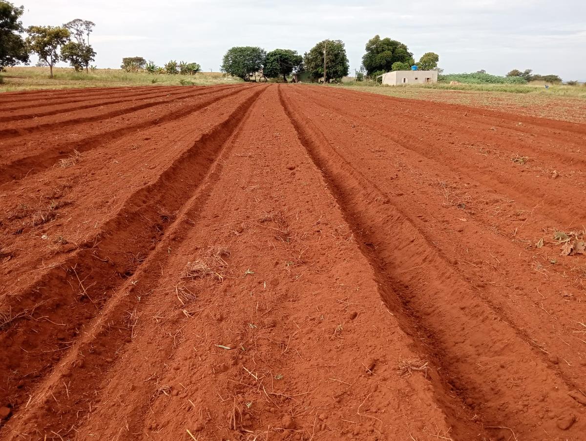 De janeiro até o início de junho deste ano, 101 pequenos produtores rurais de Uberaba foram atendidos com serviços de preparo de solo subsidiados pela Sagri (Foto/Divulgação PMU)