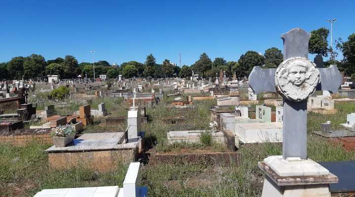 A operação mobilizou cerca de 31 trabalhadores e aproximadamente 25 caminhões, sendo 14 de empresa terceirizada e outros 10 vinculados à Codau (FotoDivulgação)