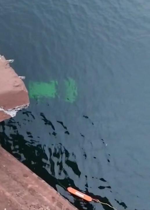 O motorista perdeu o controle da direção e o carro despencou da estrutura, submergindo nas águas do rio (Foto/Reprodução)