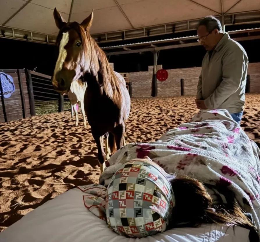 Durante a imersão, são aplicadas práticas de terapia energética associadas à interação com os animais (Foto/Divulgação)