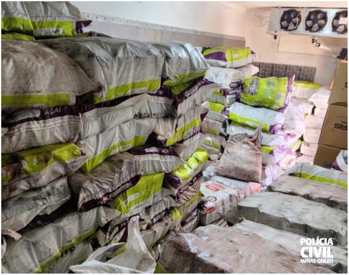 Cerca de 7 toneladas de açaí foram apreendidas em Uberlândia (Foto/Divulgação/PCMG)
