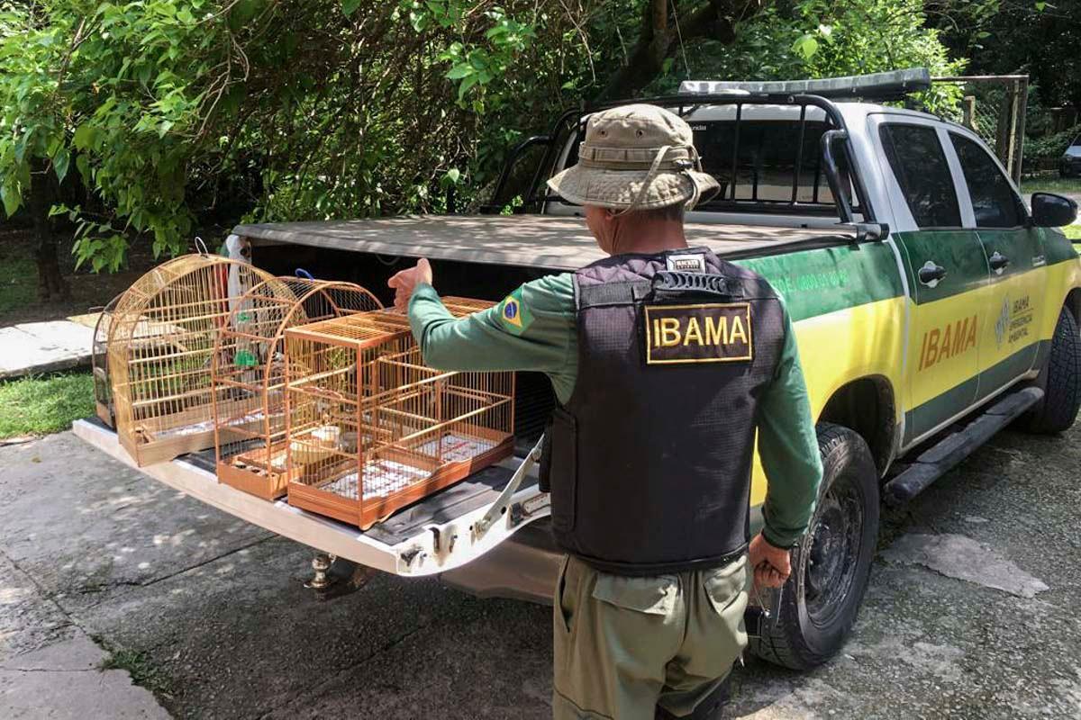 60 vagas urgentes: Ibama e Incra recrutam técnicos para licenciar obras do Novo PAC (Foto/Reprodução)