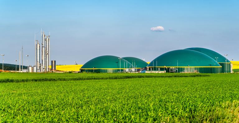 Estudo elaborado pela EPE, vinculada ao MME, considera ciclo de vida “do poço à roda” e mostra papel estratégico do biocombustível na transição energética e no alcance das metas do Programa Mover (Foto/Ralf Geithe/Getty Images)