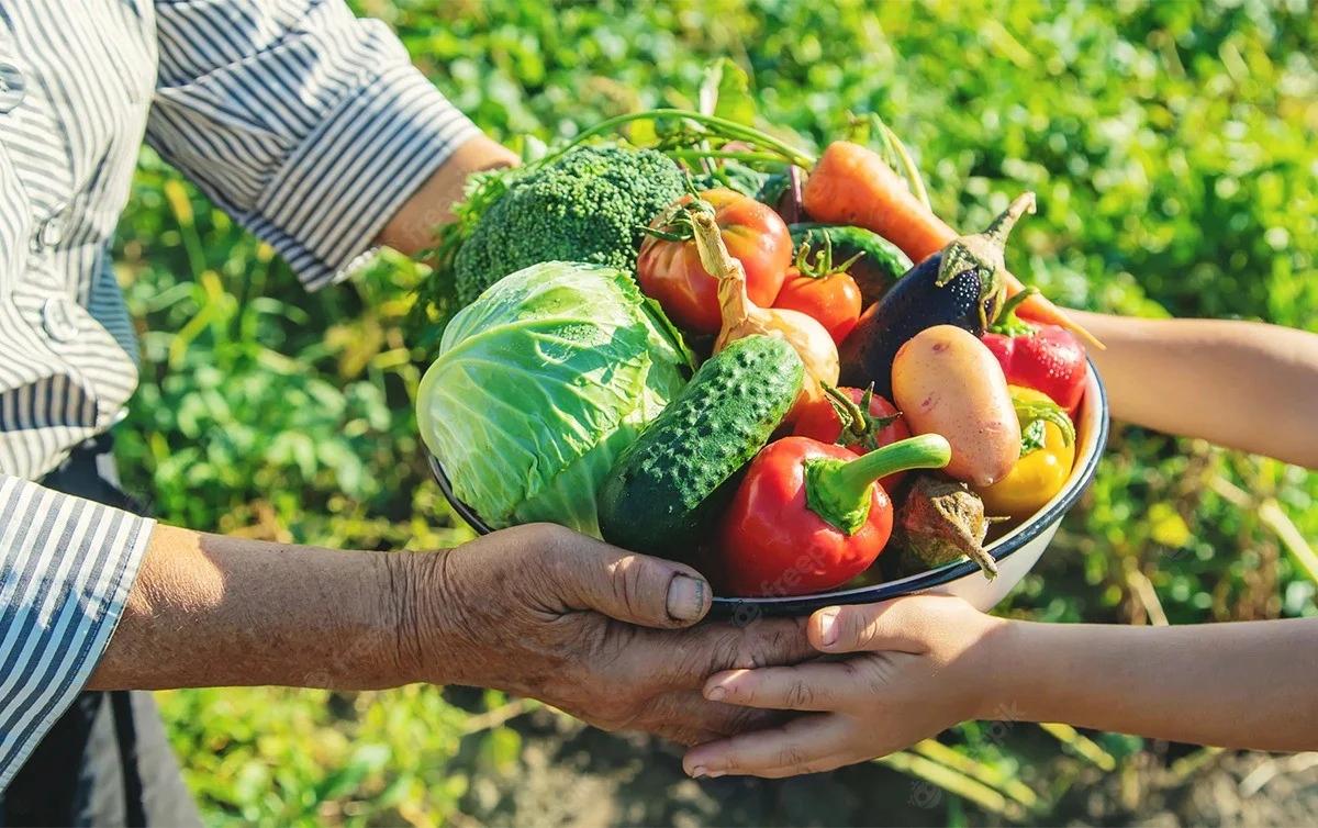 . A atividade ocorre das 8h às 12h e marca as comemorações pelo Dia Nacional do Agricultor Familiar, celebrado em 24 de julho (Foto/Divulgação)
