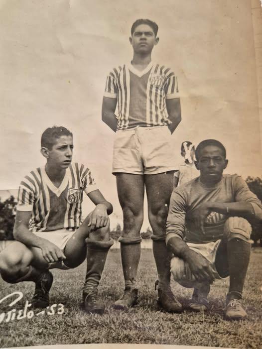 (Foto/Divulgação)