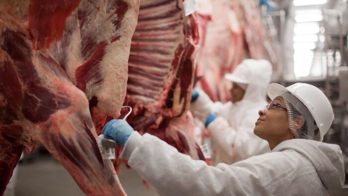 Frigoríficos suspenderam a produção de carne destinada aos Estados Unidos (Foto/Reprodução)