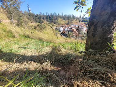 O santuário esclareceu que a área onde o corpo foi encontrado está a cerca de dois quilômetros da basílica e trata-se de um terreno não utilizado pela instituição (Foto/Reprodução)
