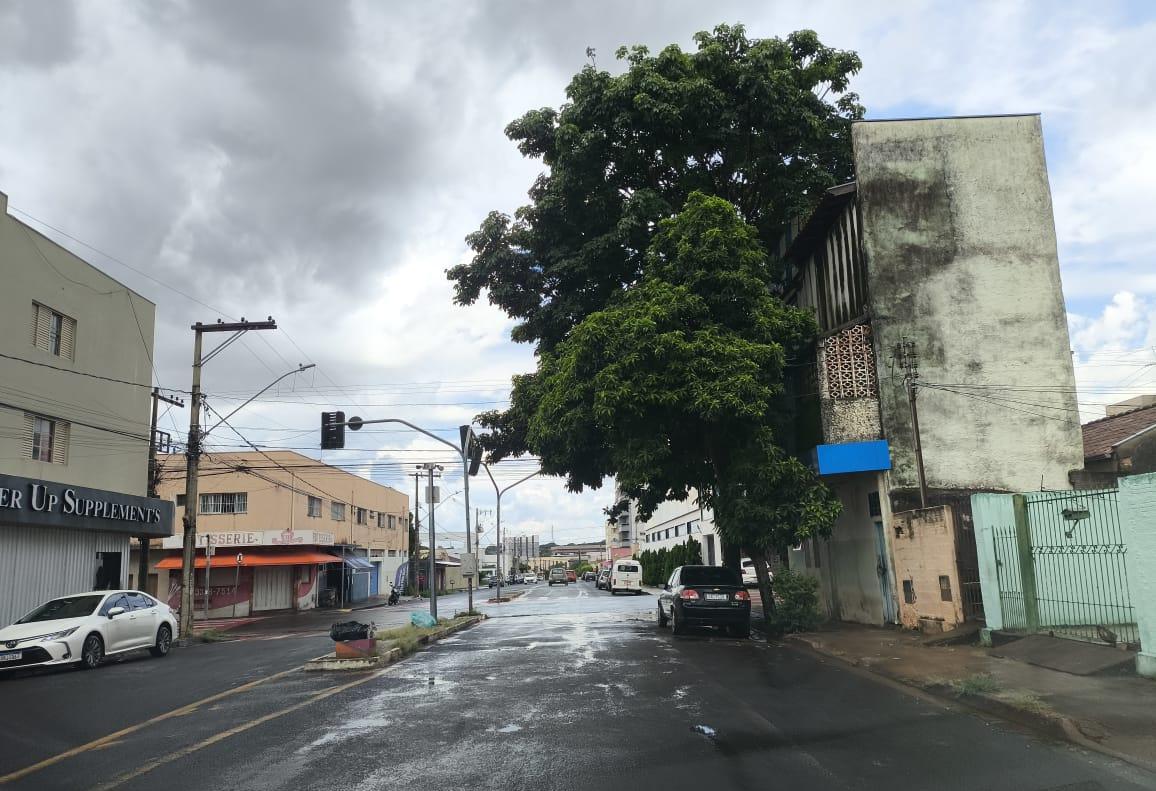 Apesar de não confirmar um cronograma de trabalhos de poda da copa das árvores, a Prefeitura de Uberaba orienta que a população pode solicitar o trabalho por meio do sistema Cidade Ativa (Foto/Reprodução)