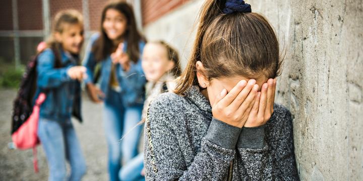 Violência nas escolas : entenda os sinais de alerta e quando acionar a Rede de Proteo