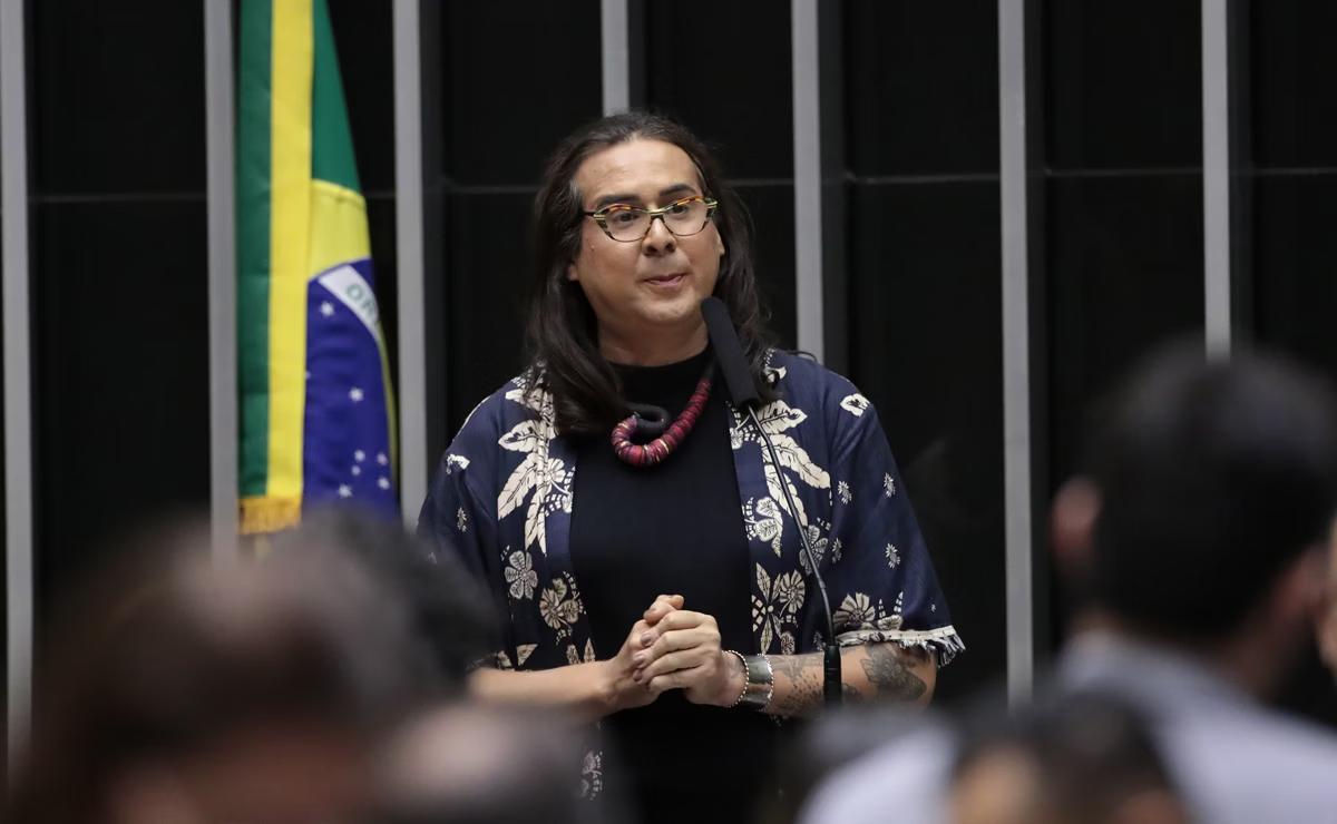 A deputada federal Duda Salabert (PDT-MG) e o ex-governador do Ceará Ciro Gomes (PDT) se alfinetam publicamente desde o ano passado (Foto/Zeca Ribeiro)
