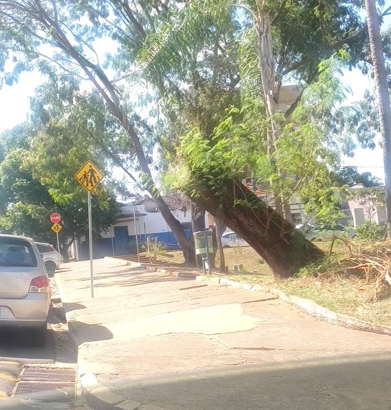 Conforme imagens, o tronco estaria parcialmente apoiado sobre a calçada, oferecendo riscos a estudantes, professores e pedestres (Foto/Reprodução)