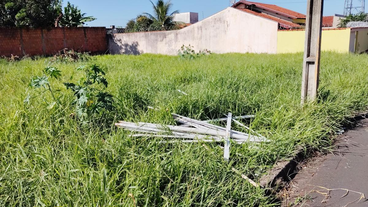 Em nova reclamação, os moradores alegam que muitos lotes estão sem muro, sem calçada e com mato alto, em alguns casos, ultrapassando dois metros de altura. (Foto/Divulgação)
