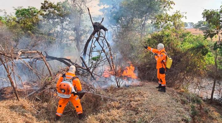 Penalidade para causadores dos incêndios é alvo de discussão em reunião nesta segunda ( )