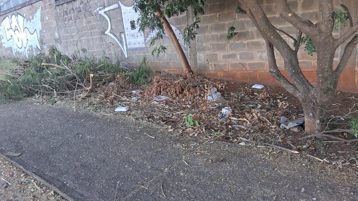 Nas últimas quatro semanas foram registradas cinco notificações em terrenos da região por motivo de falta de limpeza e manutenção, sendo três no bairro e dois inseridos no Residencial Estados Unidos. (Foto/Divulgação)