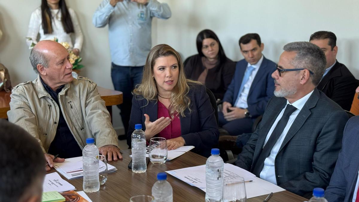Prefeita Elisa foi firme com prefeitos ao cobrar responsabilidade de todos para minimizar a sobrecarga do sistema em Uberaba (Foto/Divulgação)