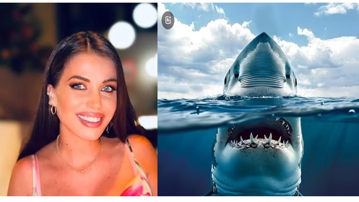Eleonora Boi Boi precisou ser submetida a cirurgia na perna, mas ela e o bebê passam bem (Foto/Montagem)