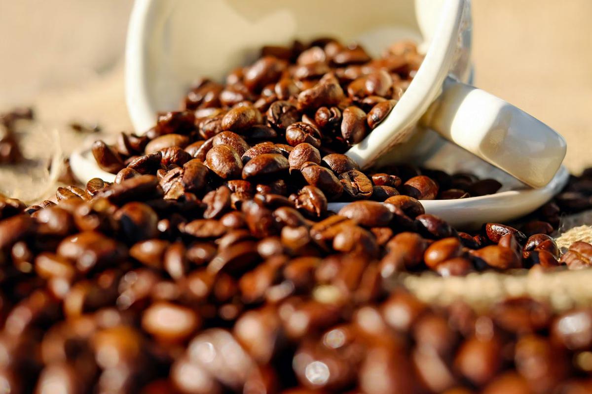 EUA são o principal destino do café exportador pelo Brasil (Foto/Pexels/Reprodução)