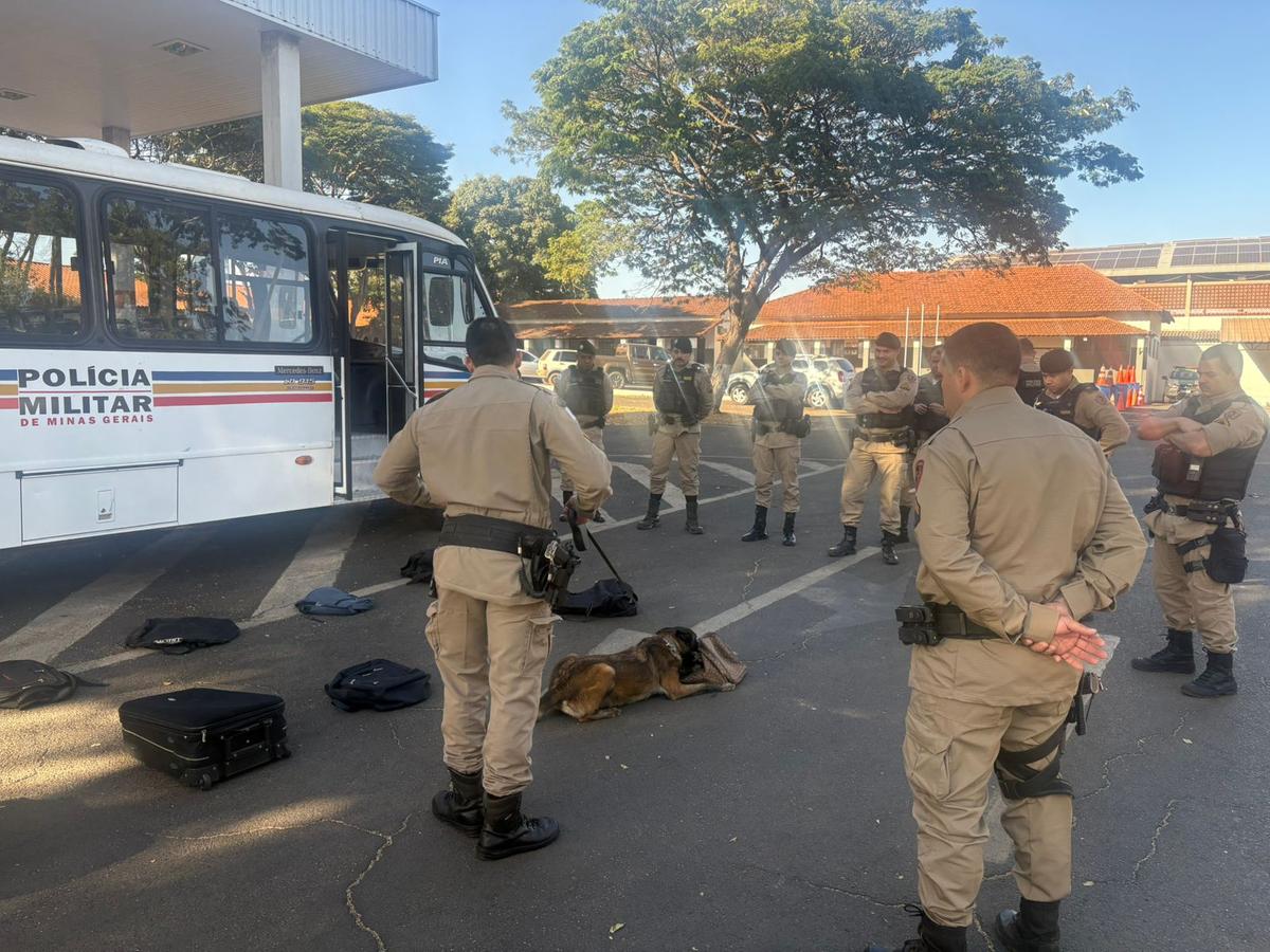 Os cães de faro foram empregados na detecção de drogas, explosivos e outros ilícitos ocultos no interior do veículo ou nas bagagens. (Foto/Divulgação)