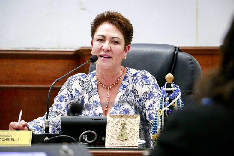 A vereadora retoma a pauta e afirmou que pretende expandir o projeto, incluindo também outros elementos que representem a tradição e a cultura das feiras livres como um todo (Foto/Reprodução)