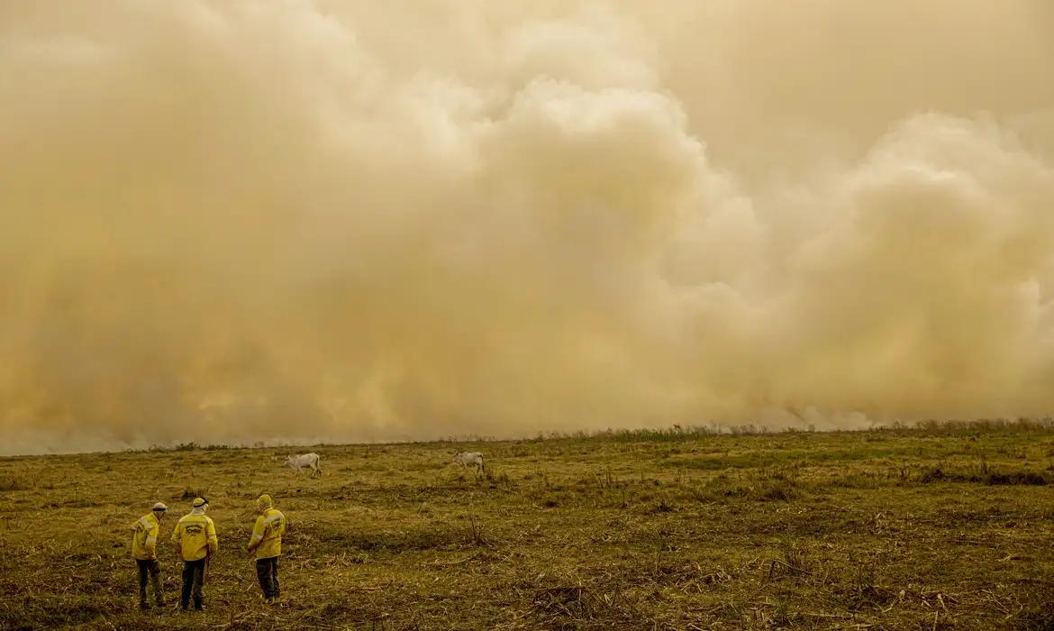 Na última quarta-feira (20) o Mapbiomas já havia divulgado balanço de área queimada em julho, também a menor para o mês desde 2019. (Foto/Joédson Alves/Agência Brasil)