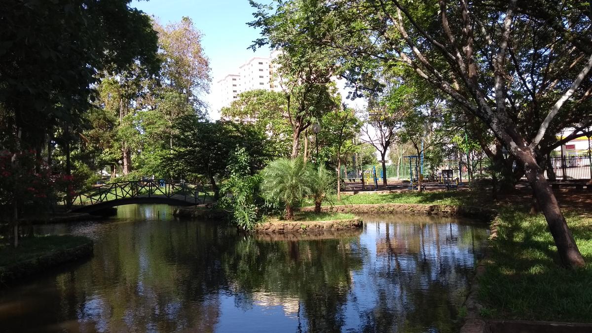 Áreas verdes contribuem para amenizar a sensação térmica e aumentar a umidade relativa do ar em seu entorno. (Foto/Divulgação)
