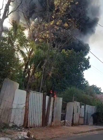  (Foto/Divulgação)