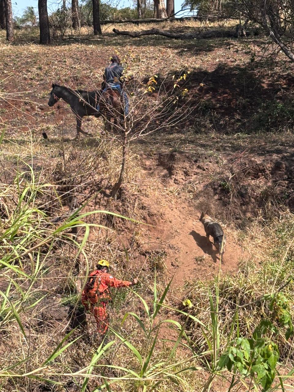 O trabalho conta com o apoio de cães farejadores e, a partir desta terça (26), também com drones, que permitem ampliar a cobertura aérea e dar mais precisão às buscas (Foto/Divulgação)
