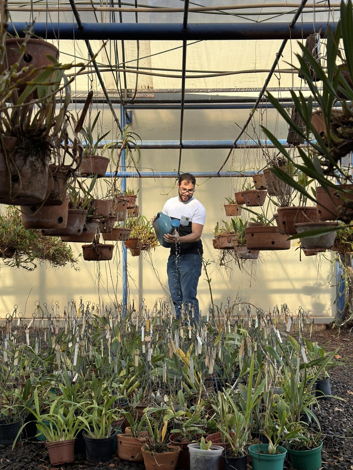 Plantas já na Fazu, após doação da família (Foto/Reprodução)