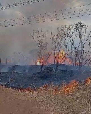 O combate durou cerca de uma hora e foi realizado por ataque direto às chamas, com a utilização de aproximadamente 200 litros de água. (Foto/Reprodução)