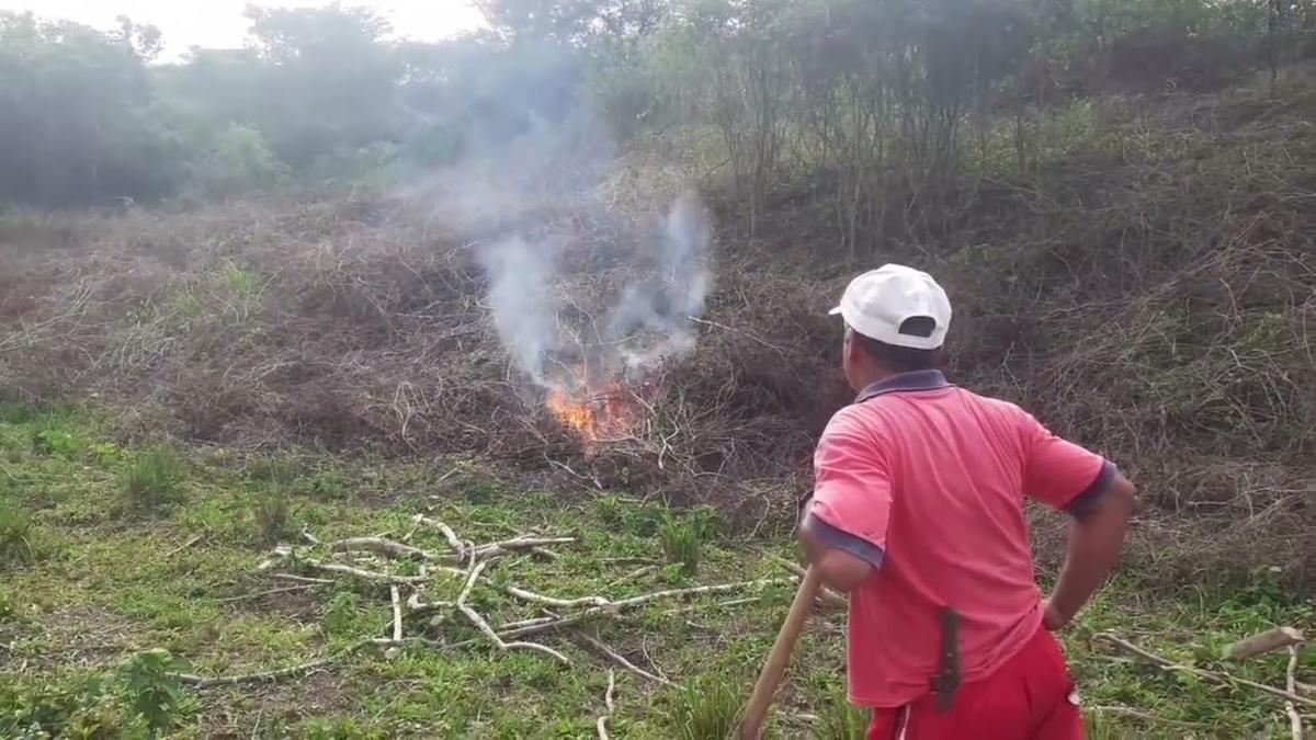 99% dos casos atendidos são provocados por pessoas, seja por limpeza de terrenos, práticas culturais ou ações criminosas (Foto/Reprodução)