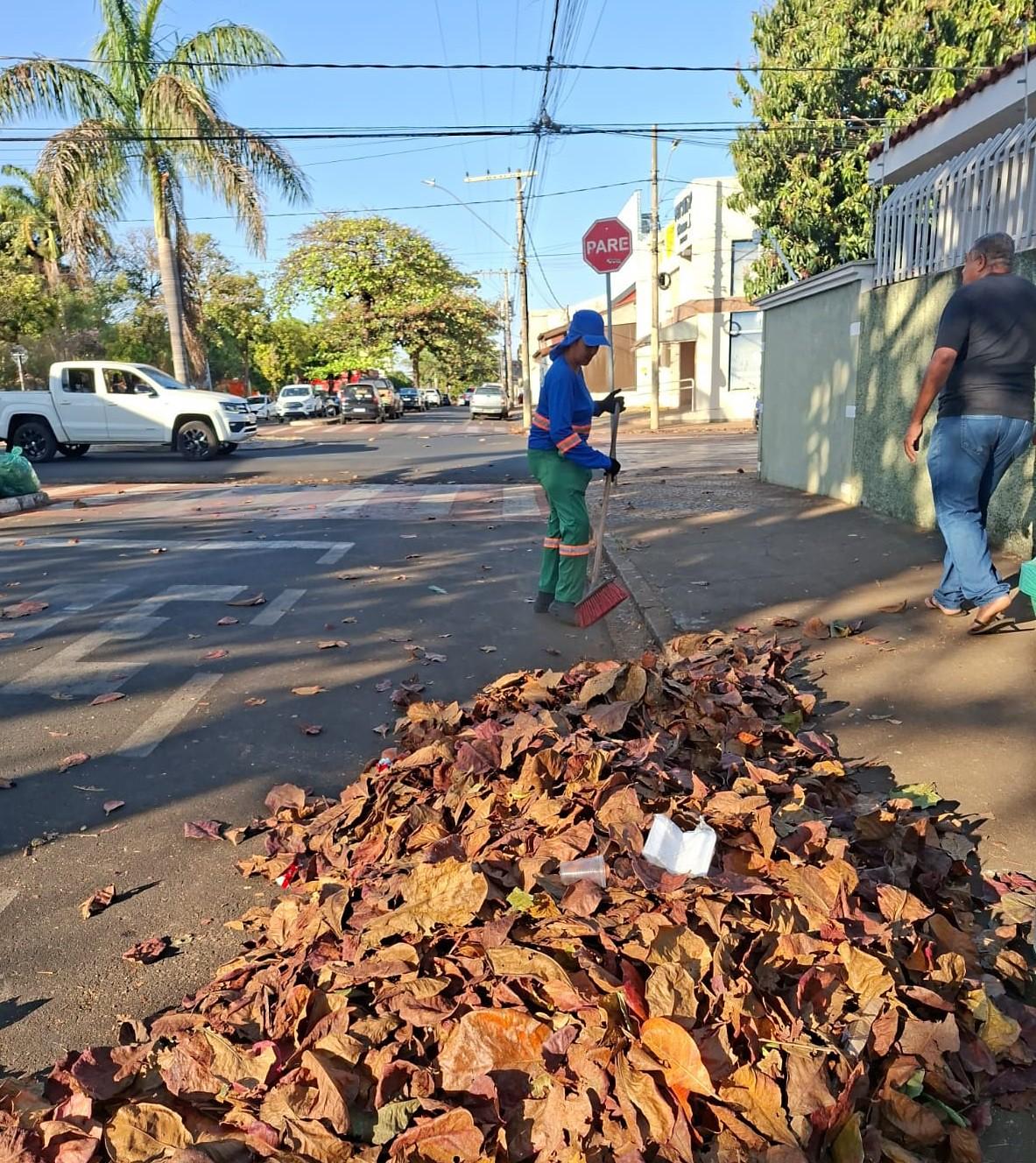 Somente a varrição chega a recolher cerca de 14 toneladas de resíduos por dia (Foto/Divulgação Codau)
