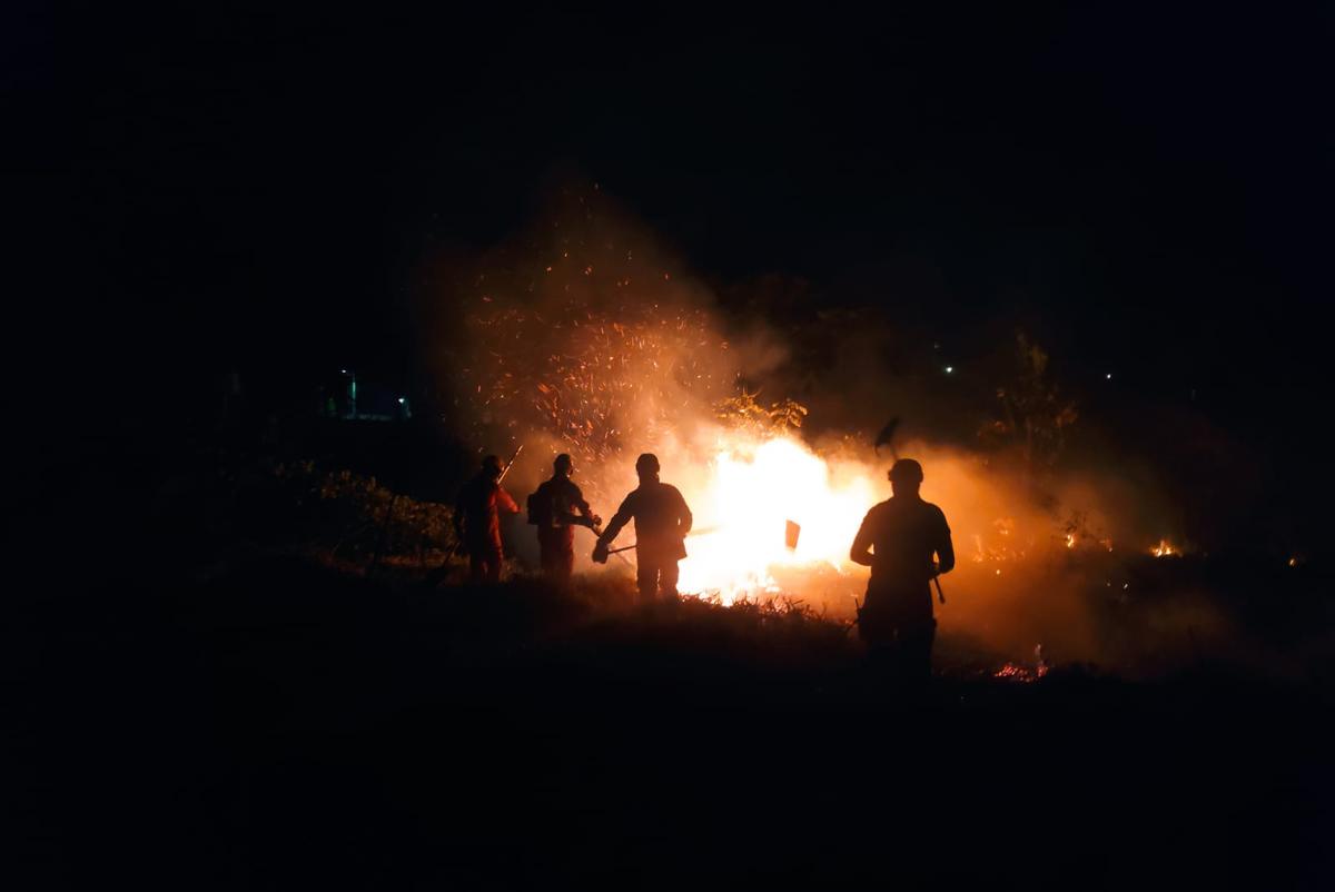 A operação contou com o emprego de três viaturas, aproximadamente 15 mil litros de água, além do uso de abafadores e sopradores (Foto/Divulgação)