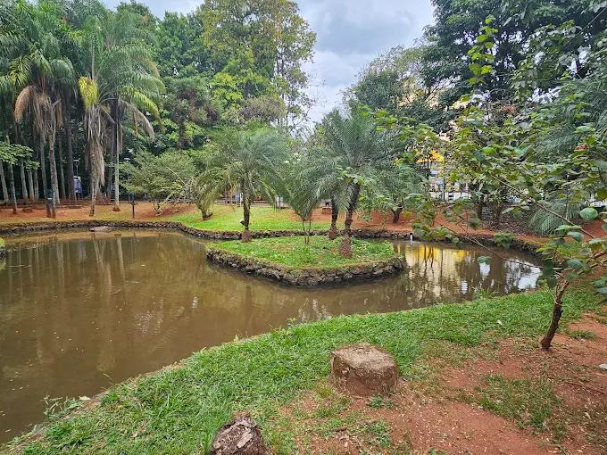 A Mata do Ipê será contemplada com melhorias em infraestrutura, segurança e preservação ambiental (Foto/Reprodução)