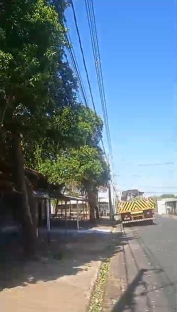 Rede de internet teria ficado danificada durante a poda de uma árvore (Foto/Divulgação)