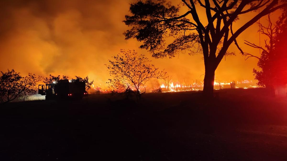 Foram empregados cerca de 15 mil litros de água durante a operação (Foto/Divulgação)